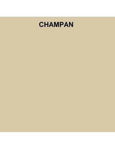 Abattant WC Pour Toilette Selles Yoko CHAMPAGNE