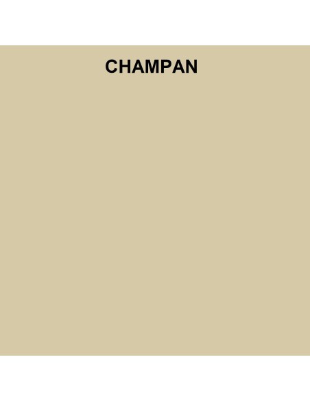 Abattant WC Pour Toilette Selles Yoko CHAMPAGNE