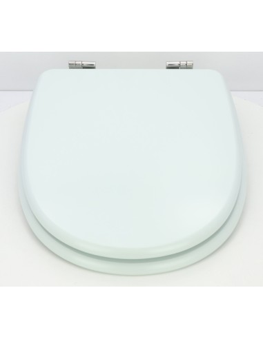Abattant WC Selles Marly Eau de mer Fait Sur Mesure